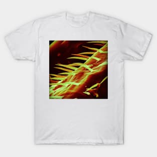 The Bees Knees - SEM of Bee Leg T-Shirt